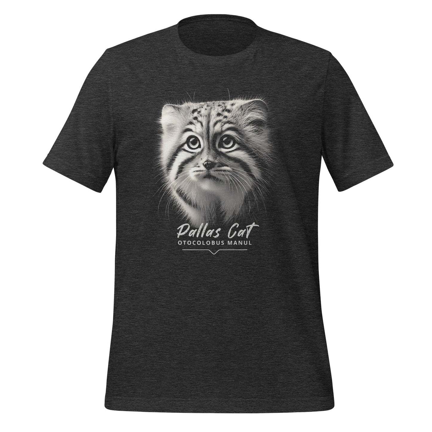OMThread dark gray t-shirt featuring a detailed black-and-white illustration of a Pallas kitten with intense eyes and fine fur details. Below the image, "Pallas Cat" is written in elegant white script, followed by "Otocolobus Manul" in a modern font.