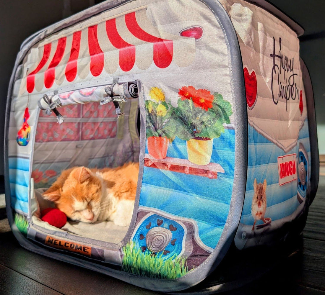 OMThread photo of a senior ginger cat sleeping peacefully inside a colorful soft-sided cat house with a window opening and awning design.