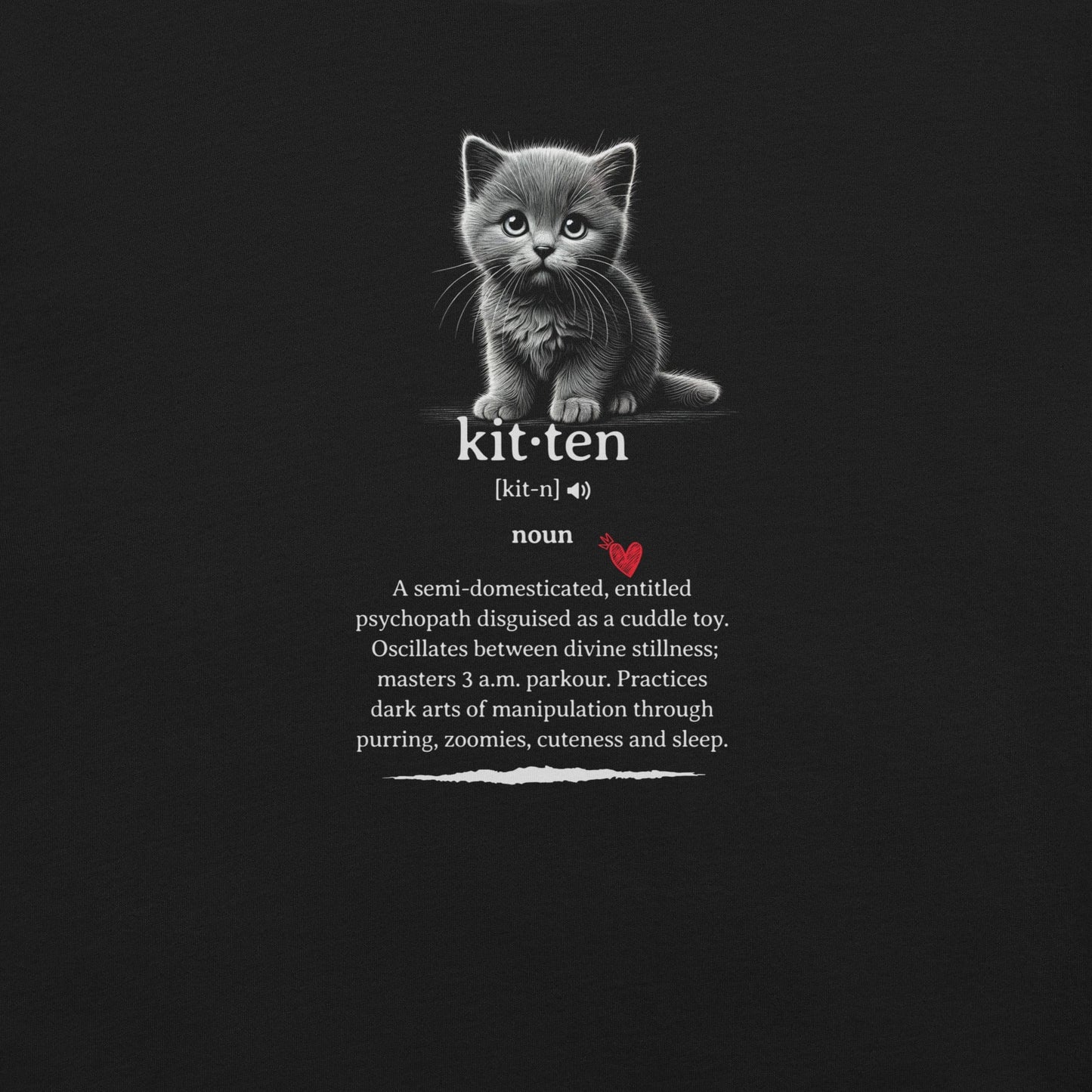 OMTHREAD Funny Kitten Definition T-Shirt Cat Dictionary Zoomies Humor