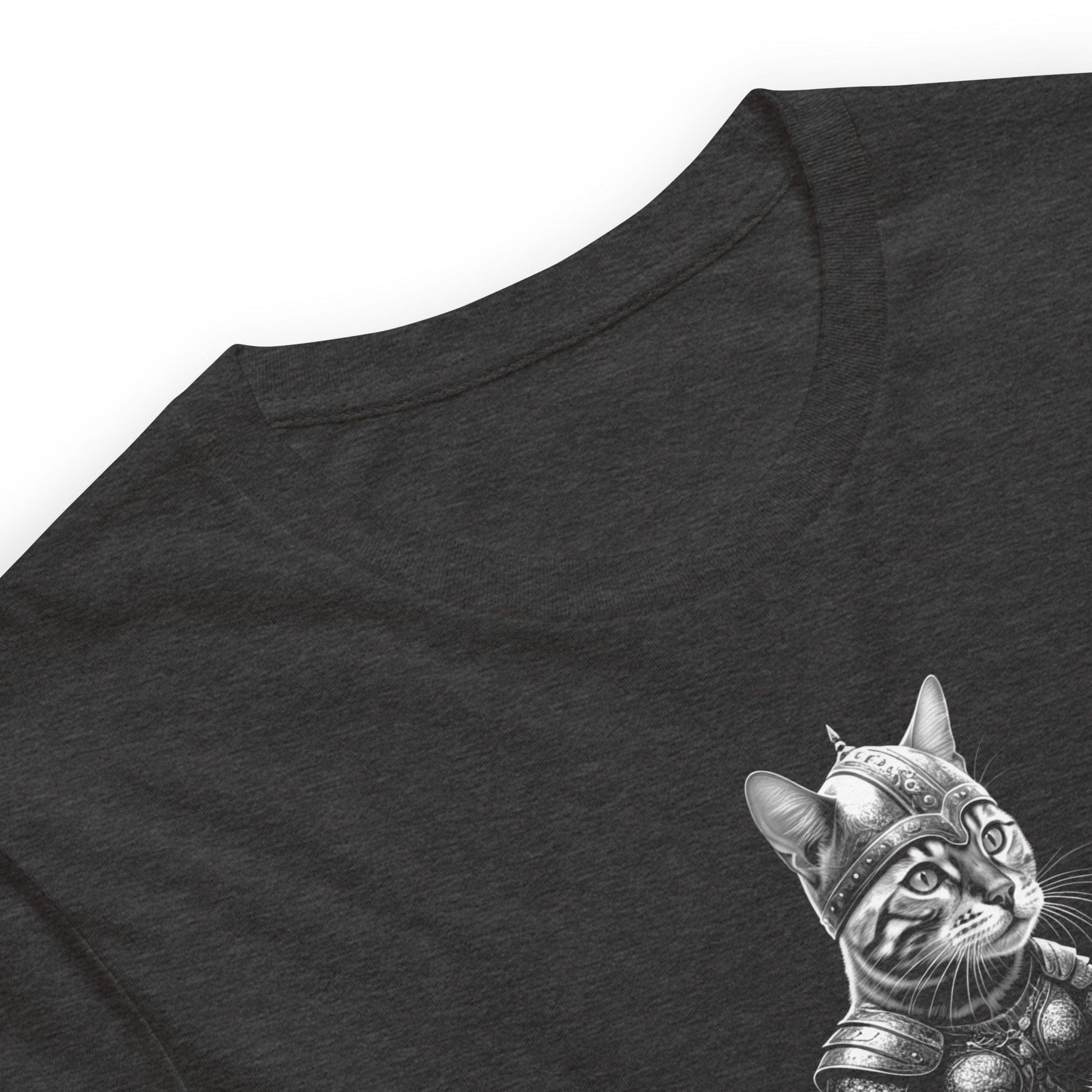 OMTHREAD Viking Cat Warrior Riding on a Raccoon Tee