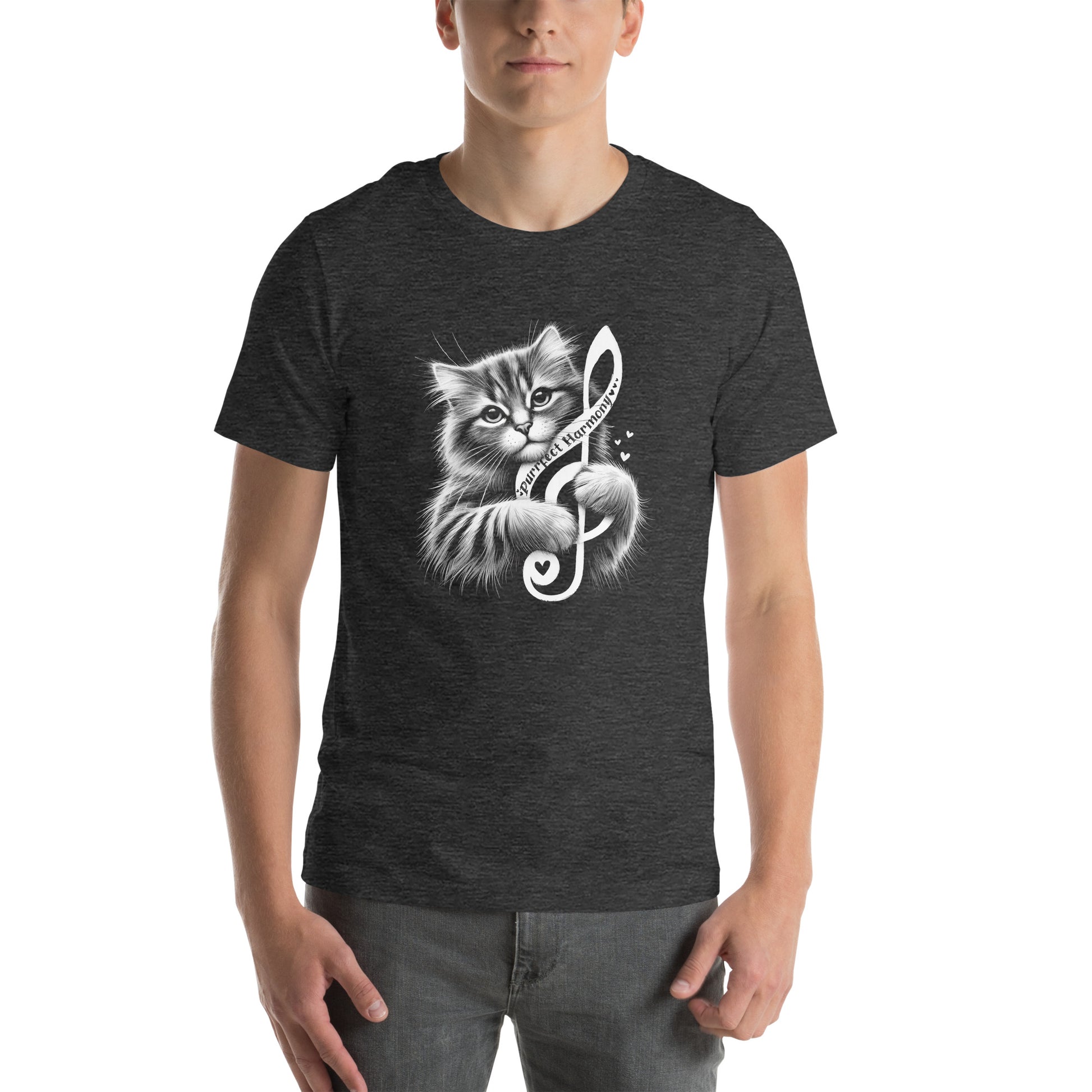 OMThread dark gray t-shirt featuring a fluffy cat holding a treble clef with 'Purrfect Harmony' text. The cat has detailed fur and a serene expression.